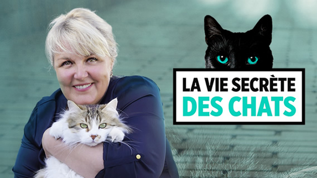 La vie secrète des chats - Quand les chats font la loi - Jeudi 25 juillet 2019